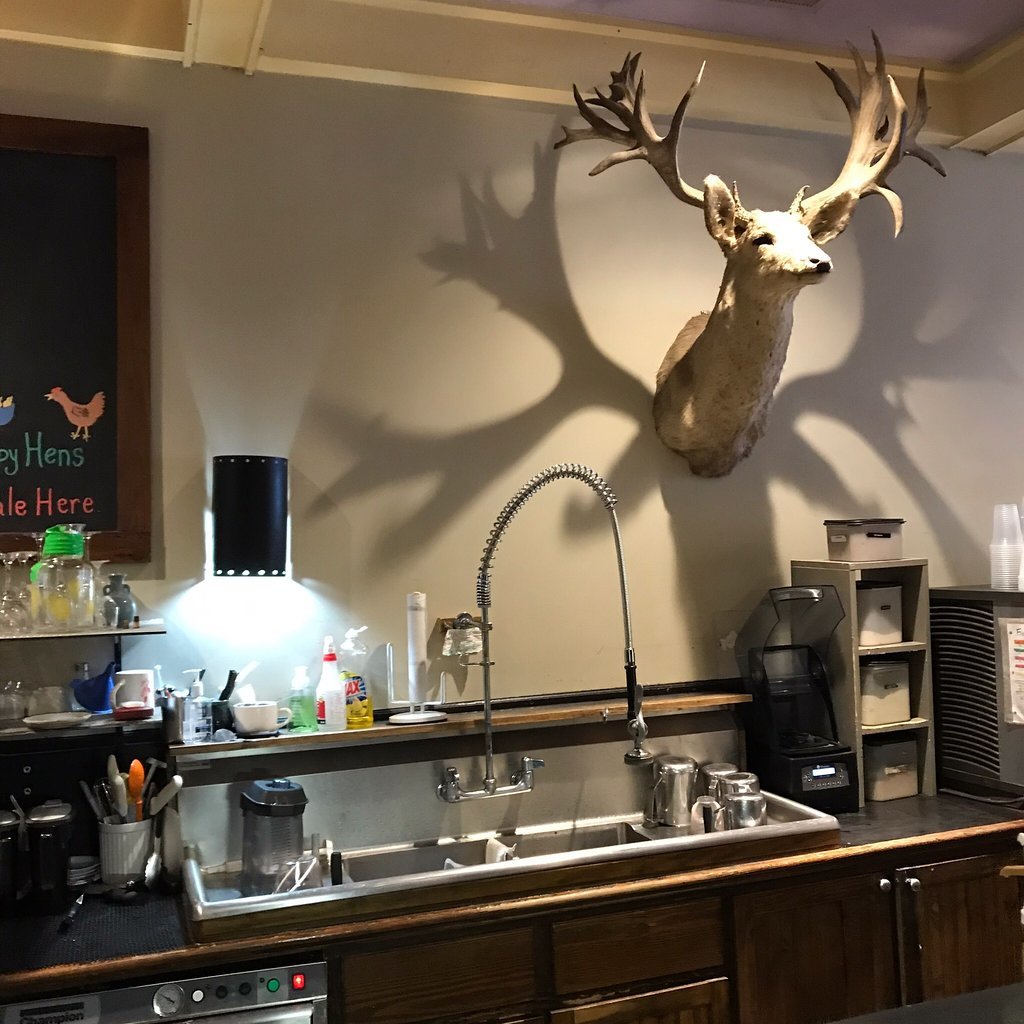 Bucks Coffee Cafe